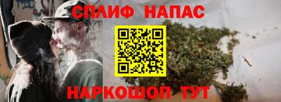 гидра Берёзовский