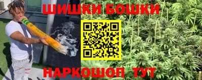 a pvp Бийск