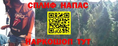 гидра Берёзовский